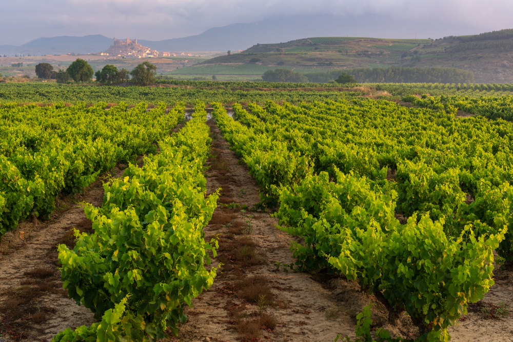 regiões vinícolas da espanha