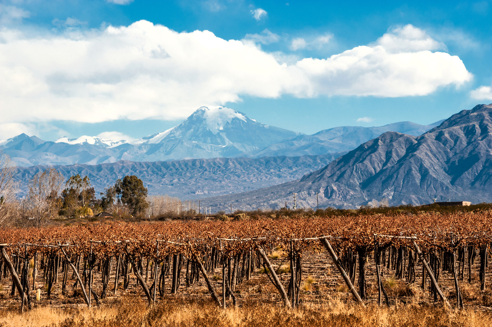 mercado de vinhos chilenos