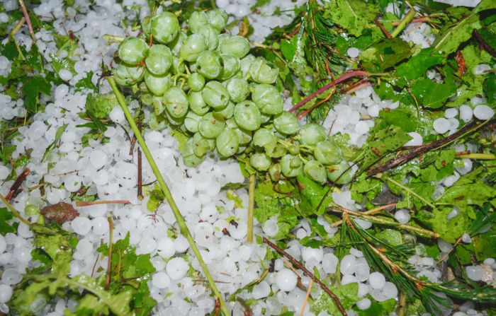 clima quente e frio