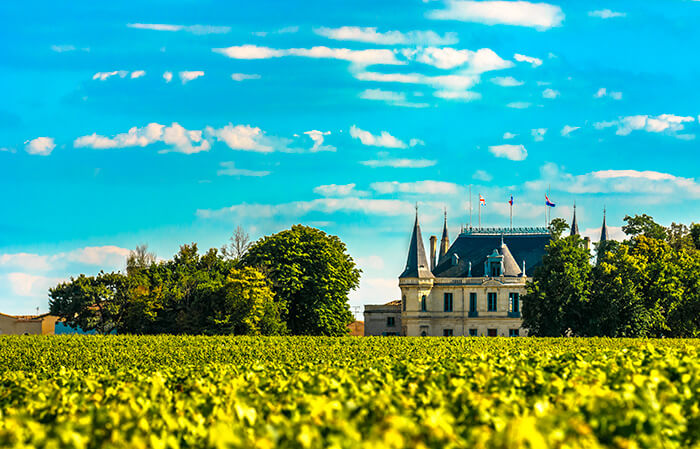 chateau e vinhedo em bordeaux, uma das regiões produtoras de vinhos da frança