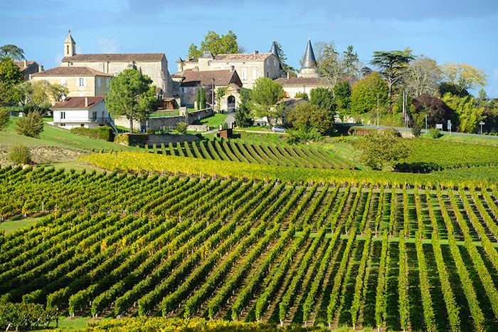 vinhedos em Saint-Émilion, Bordeaux, região produtora de vinhos da França.