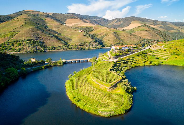 região do douro produz ótimos vinhos de portugal