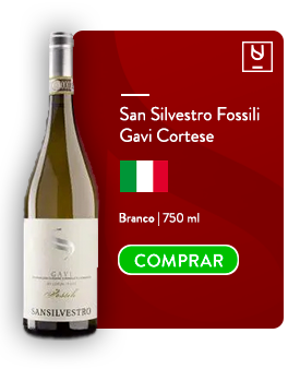 San Silvestro Fossili Gavi